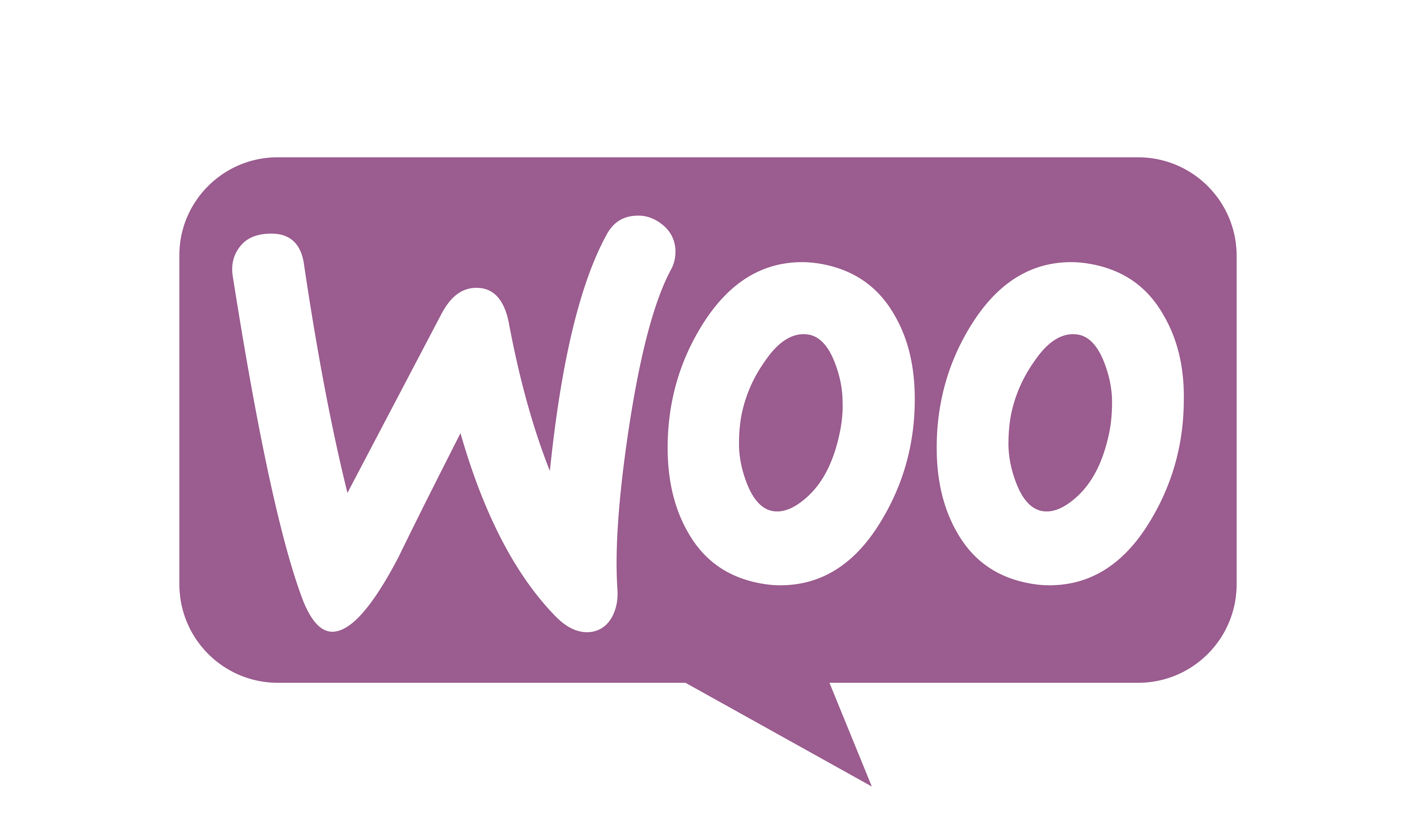 WooCommerce